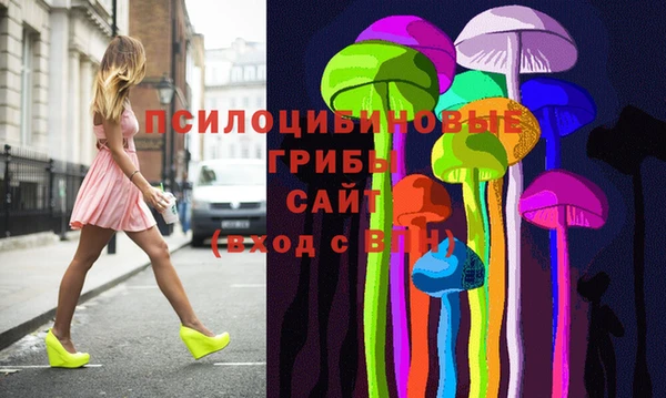 мдпв Володарск