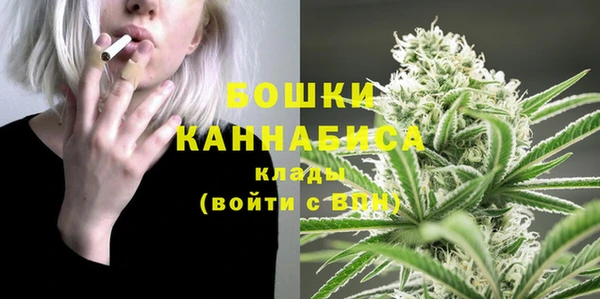 мдпв Володарск