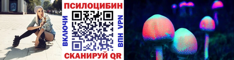 Галлюциногенные грибы Psilocybe  Вязники 