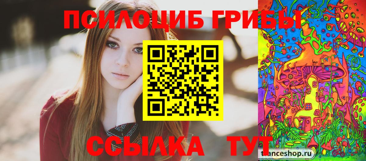 Псилоцибиновые грибы MAGIC MUSHROOMS Вязники