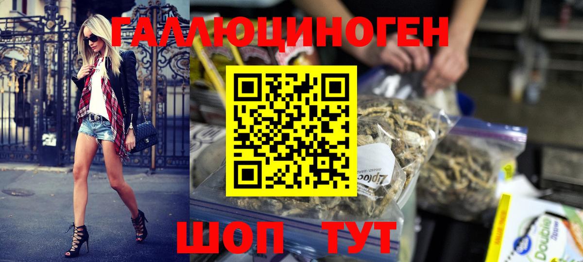 Вязники  Псилоцибиновые грибы MAGIC MUSHROOMS  Вход с VPN  Галлюциногенные грибы мухоморы 